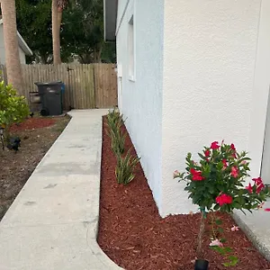 Lopez Place Tampa